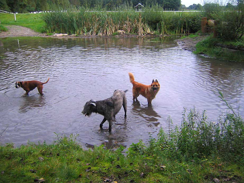 In der großen Badewanne