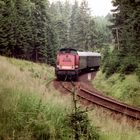 In der großen Kurve im Wald...