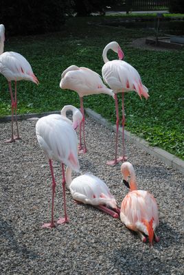 In der Gruppe sind wir .....