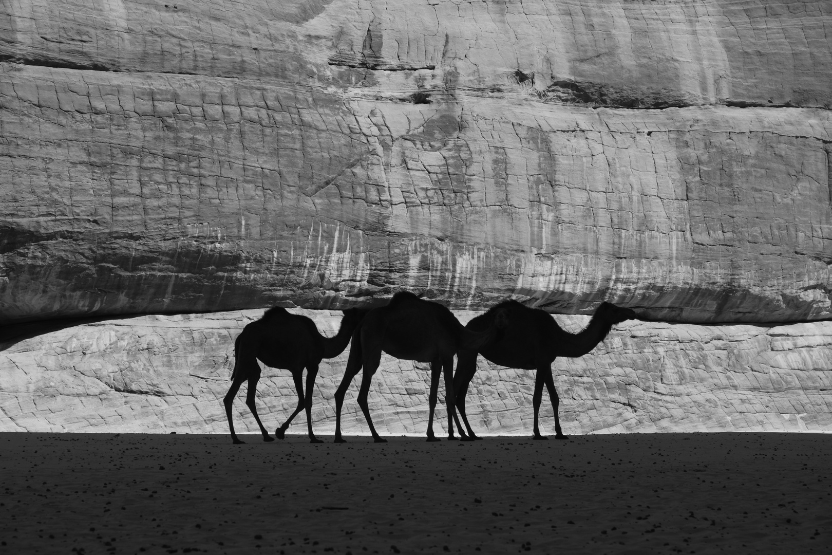 In der Guelta Archei