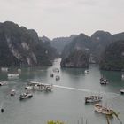 In der Ha Long Bucht (I)