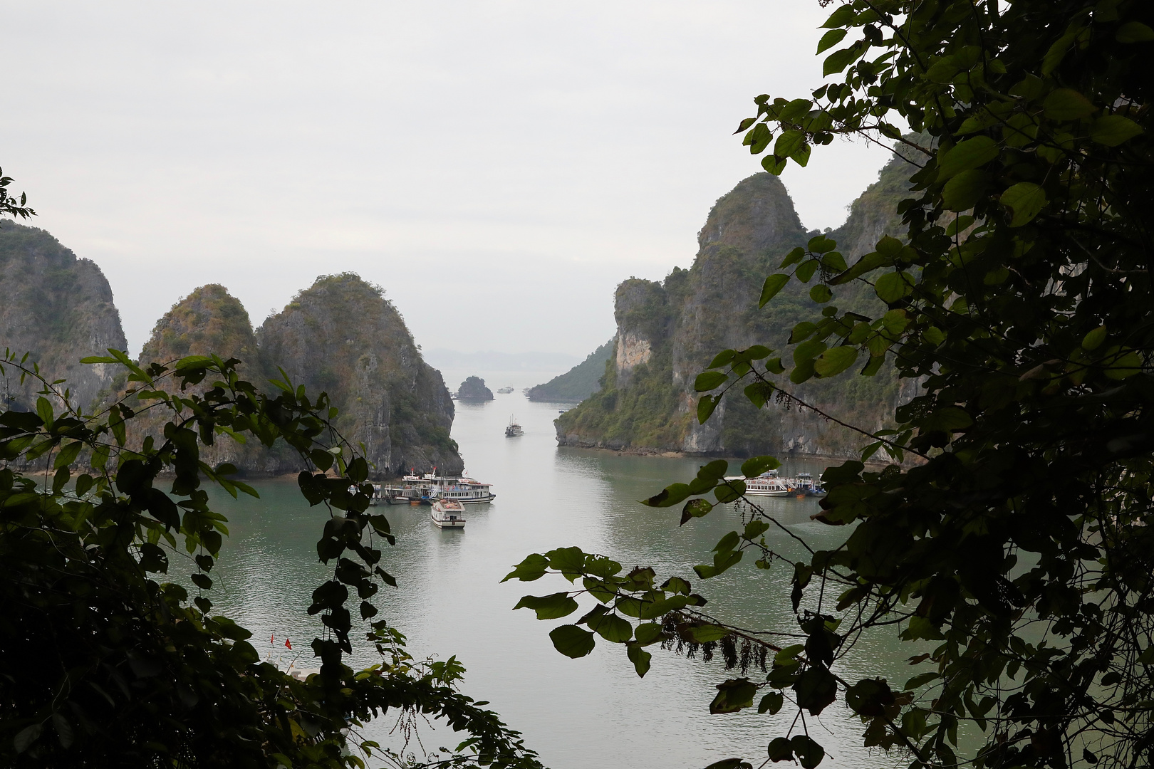 In der Ha Long Bucht (VI)