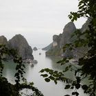 In der Ha Long Bucht (VI)