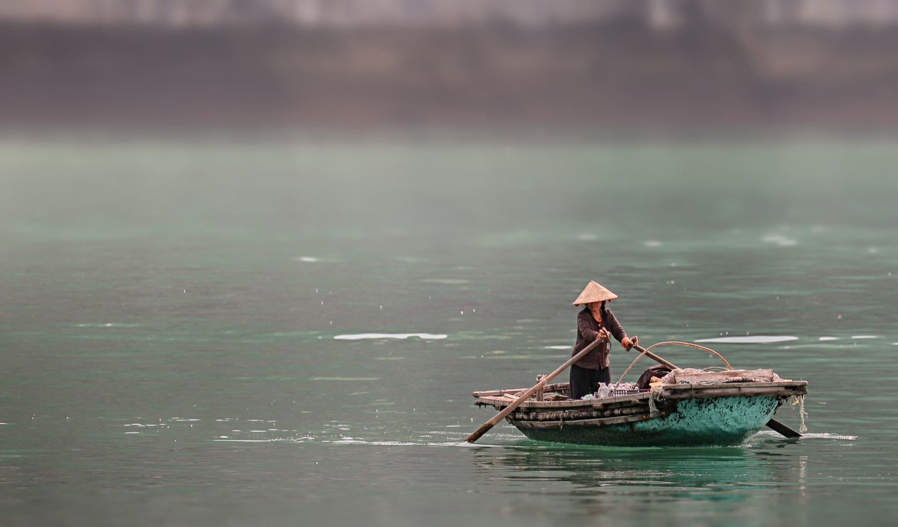 in der Halong-Bucht . . . 