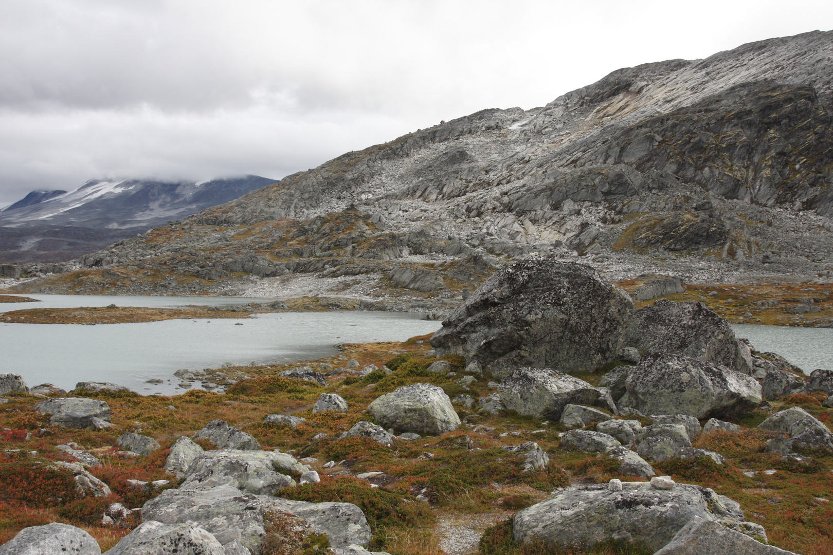 In der Hardangervidda