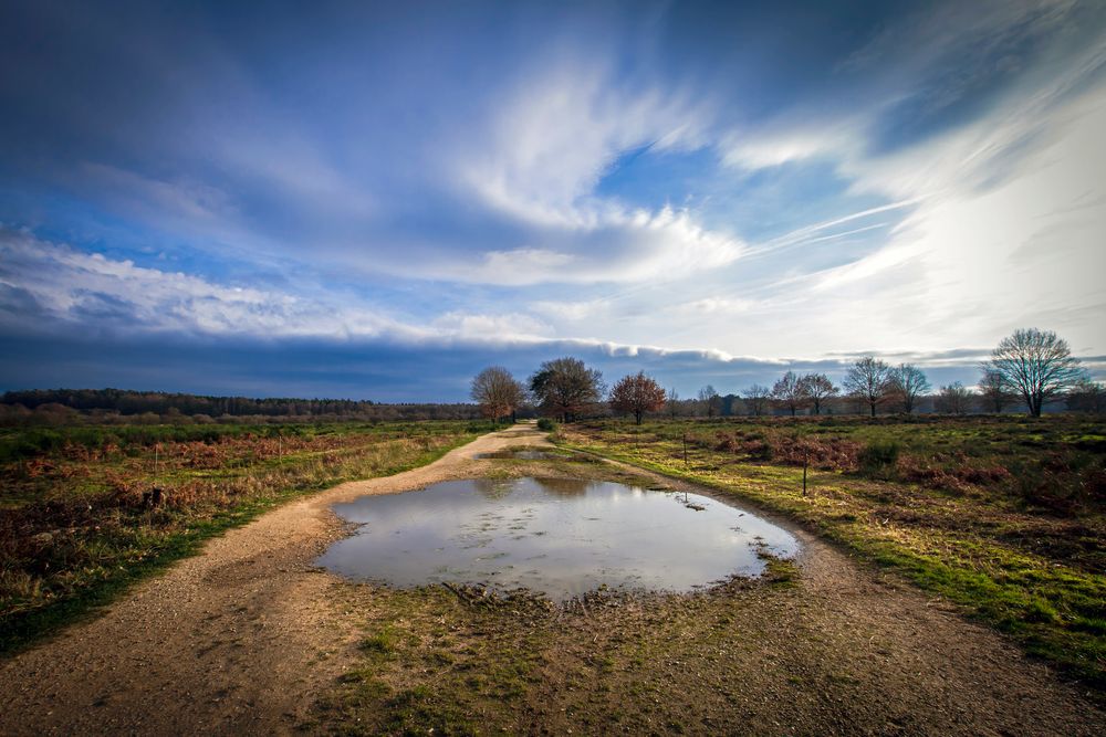 In der Heide