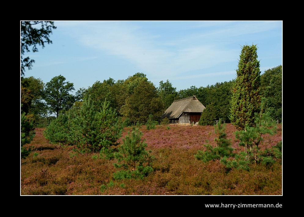 In der Heide