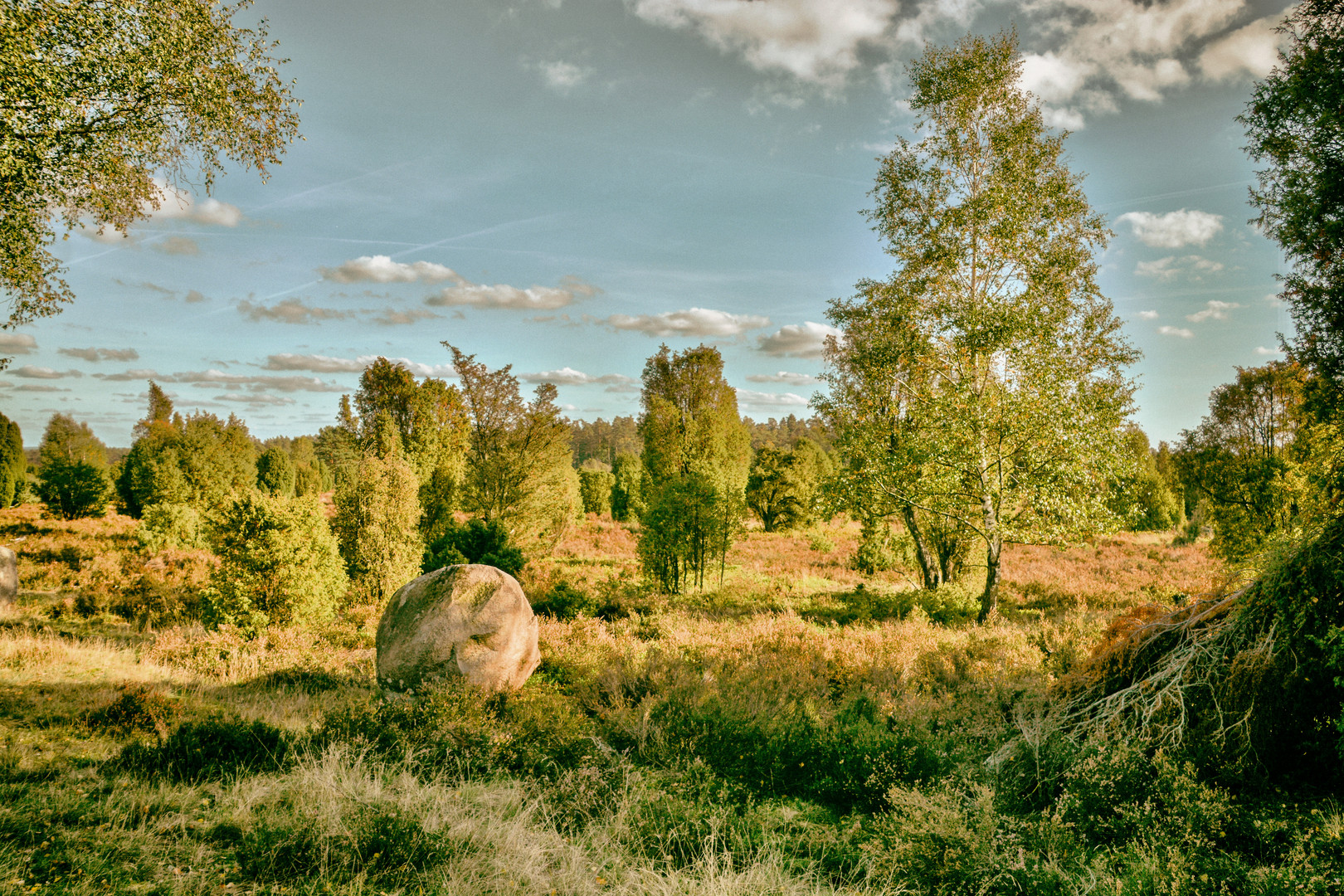 In der Heide