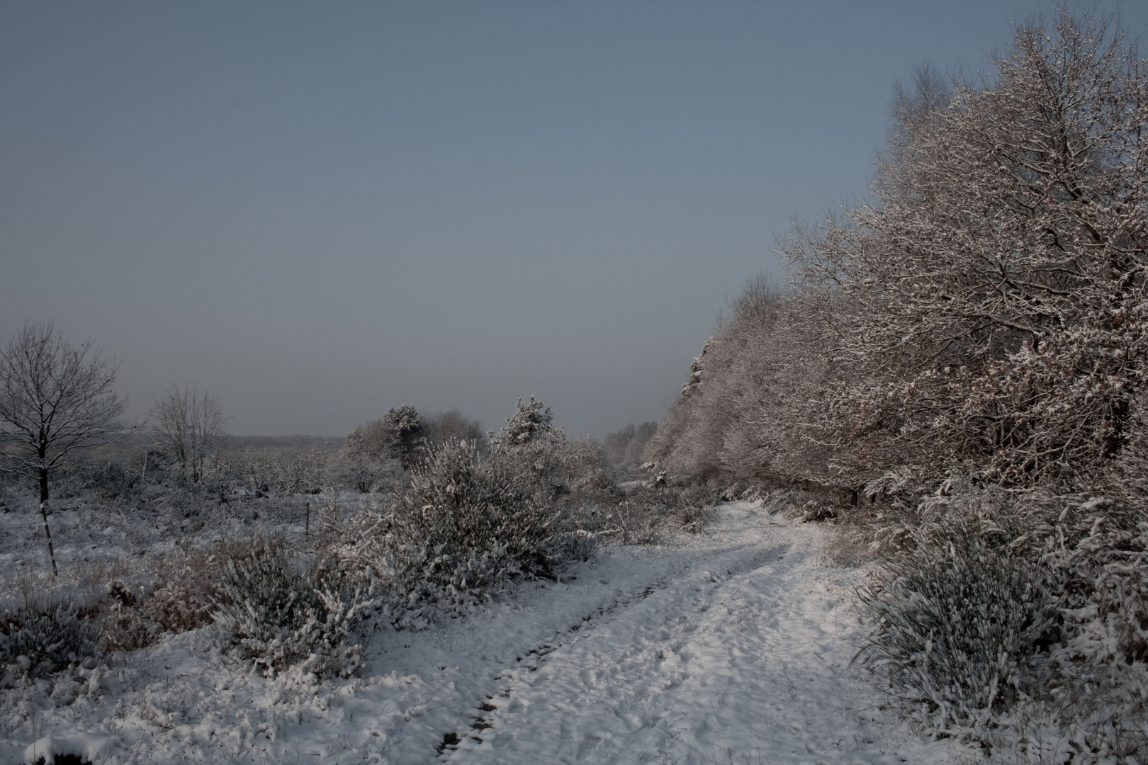 in der heide