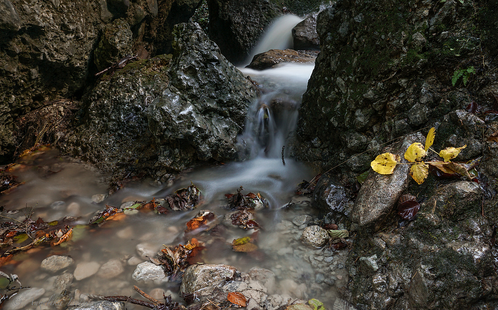 in der herbstlichen Klamm