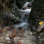 in der herbstlichen Klamm