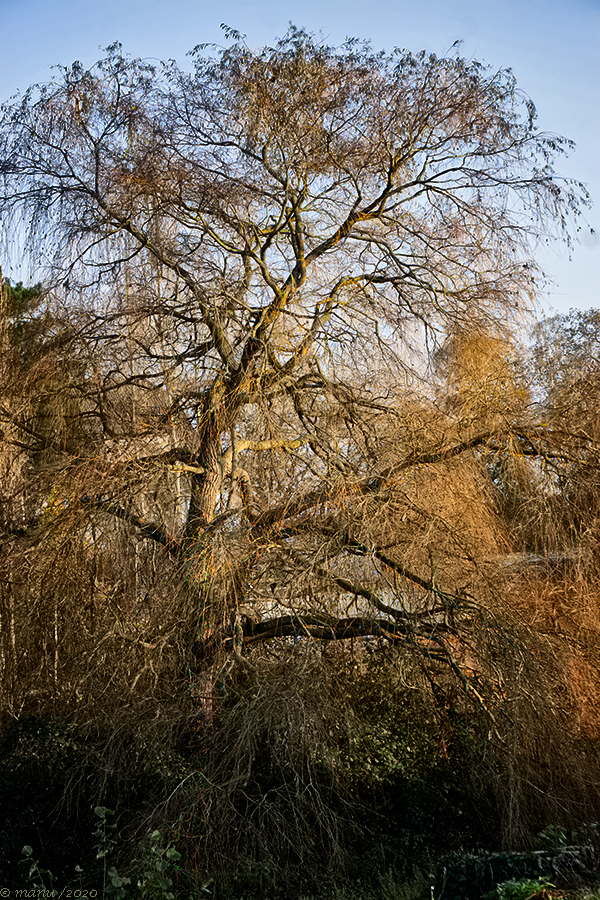 In der Herbstsonne