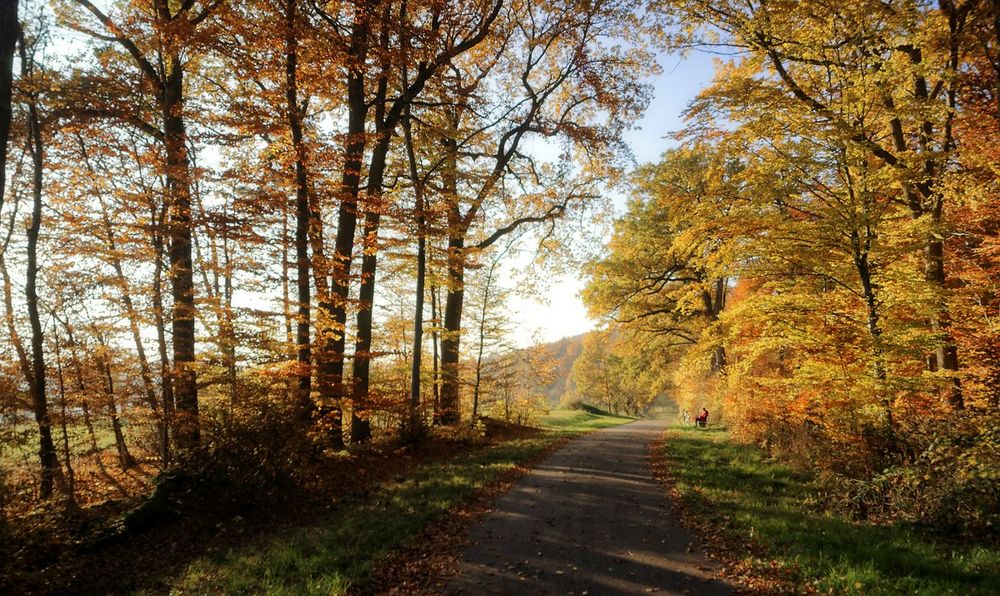 in der Herbstsonne