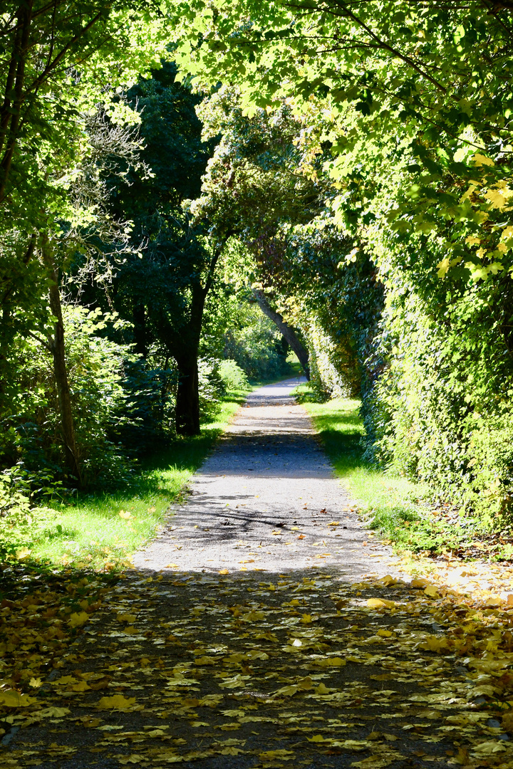 In der Herbstsonne 