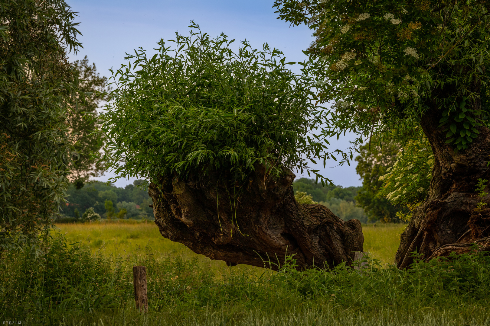 in der Himmelgeister Schleife