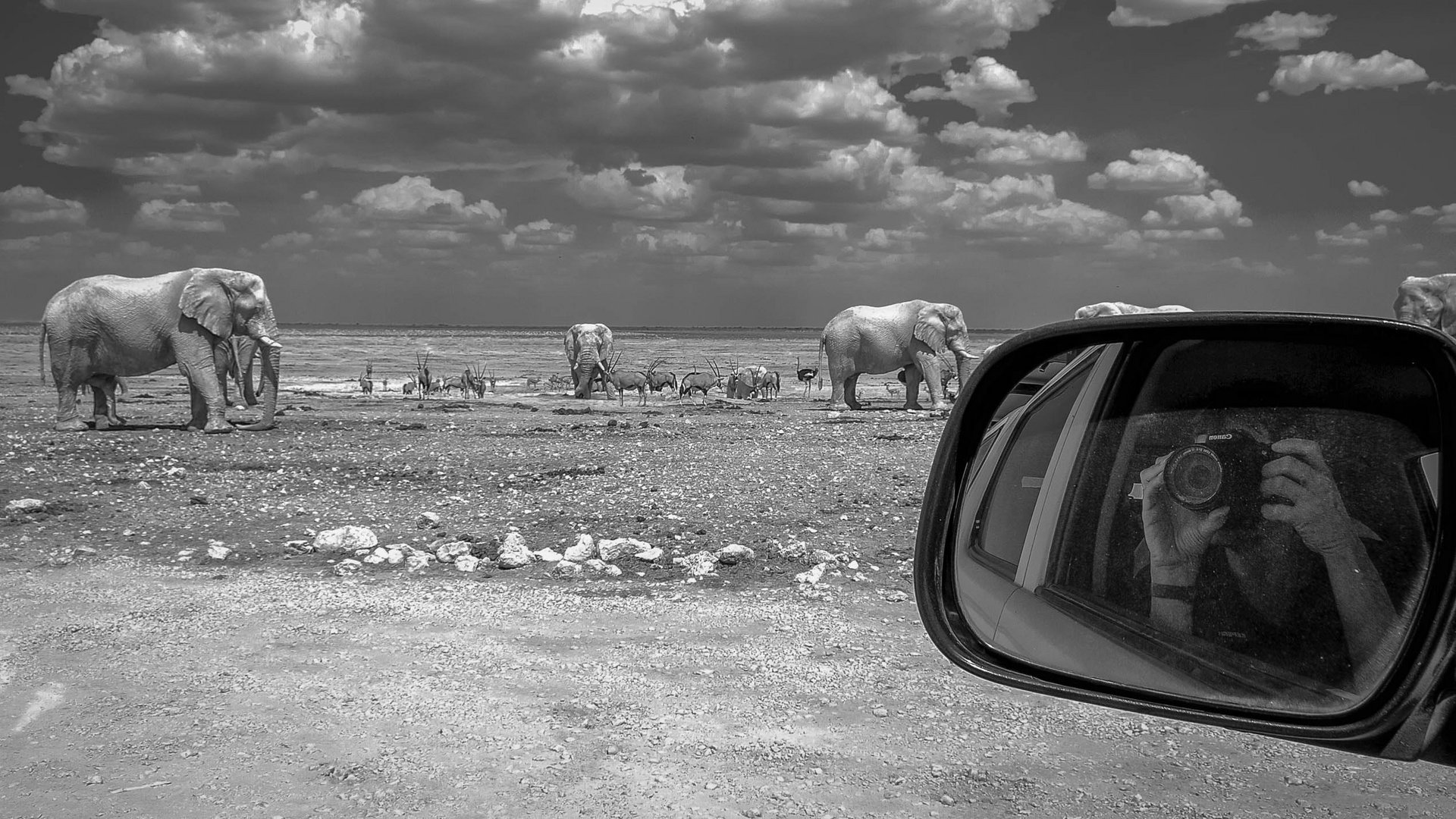 In der Hitze der Etosha Pfanne