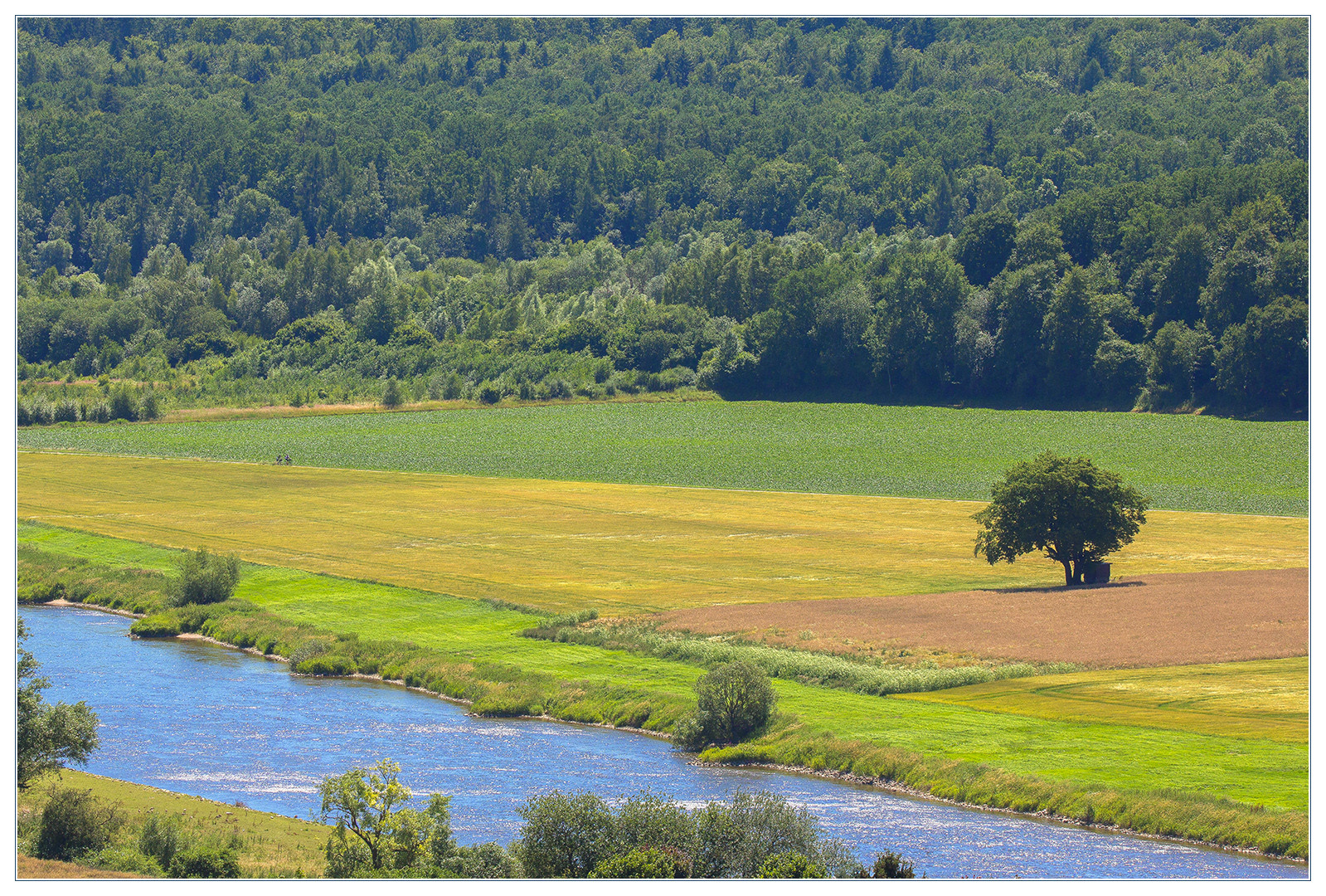 In der Hitze dieses Sommers...