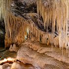 in der Höhle