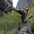 in der Höllenschlucht