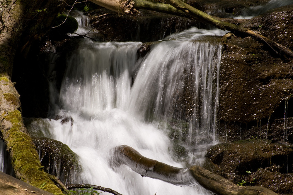 In der Hölzbachklamm