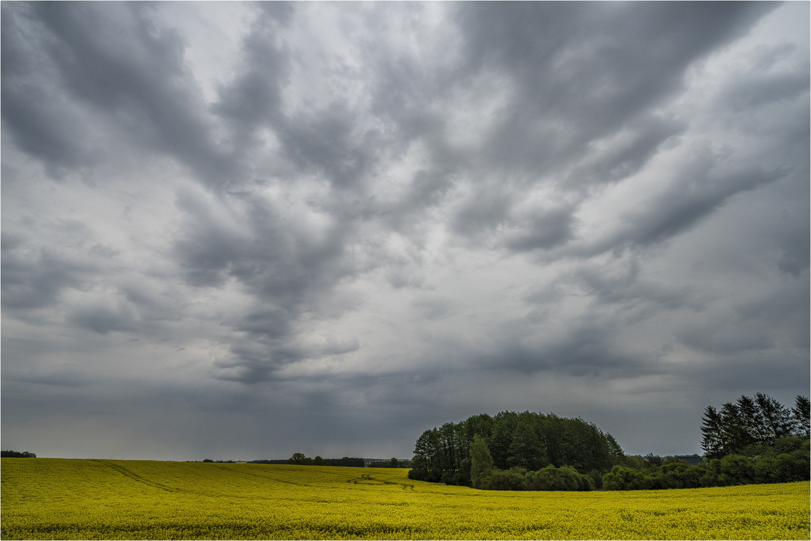 In der Hoffnung auf Regen...