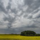 In der Hoffnung auf Regen...