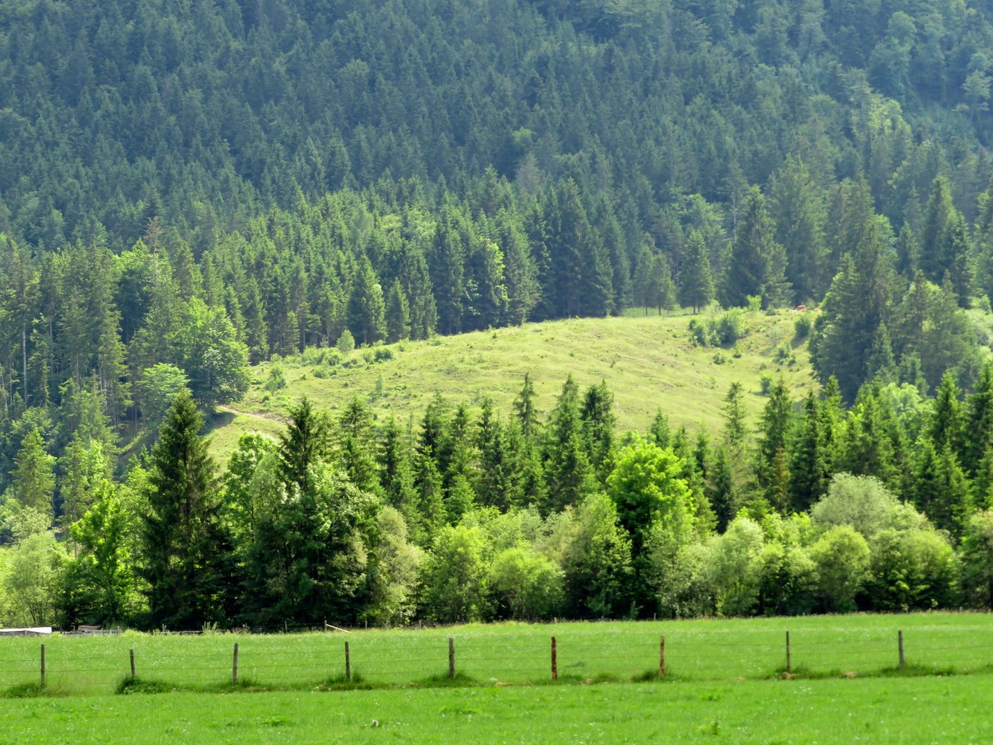 In der Jachenau