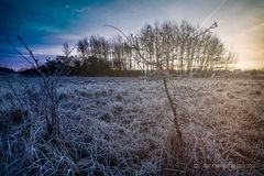 in der Kälte des Morgens die ersten Sonnenstrahlen