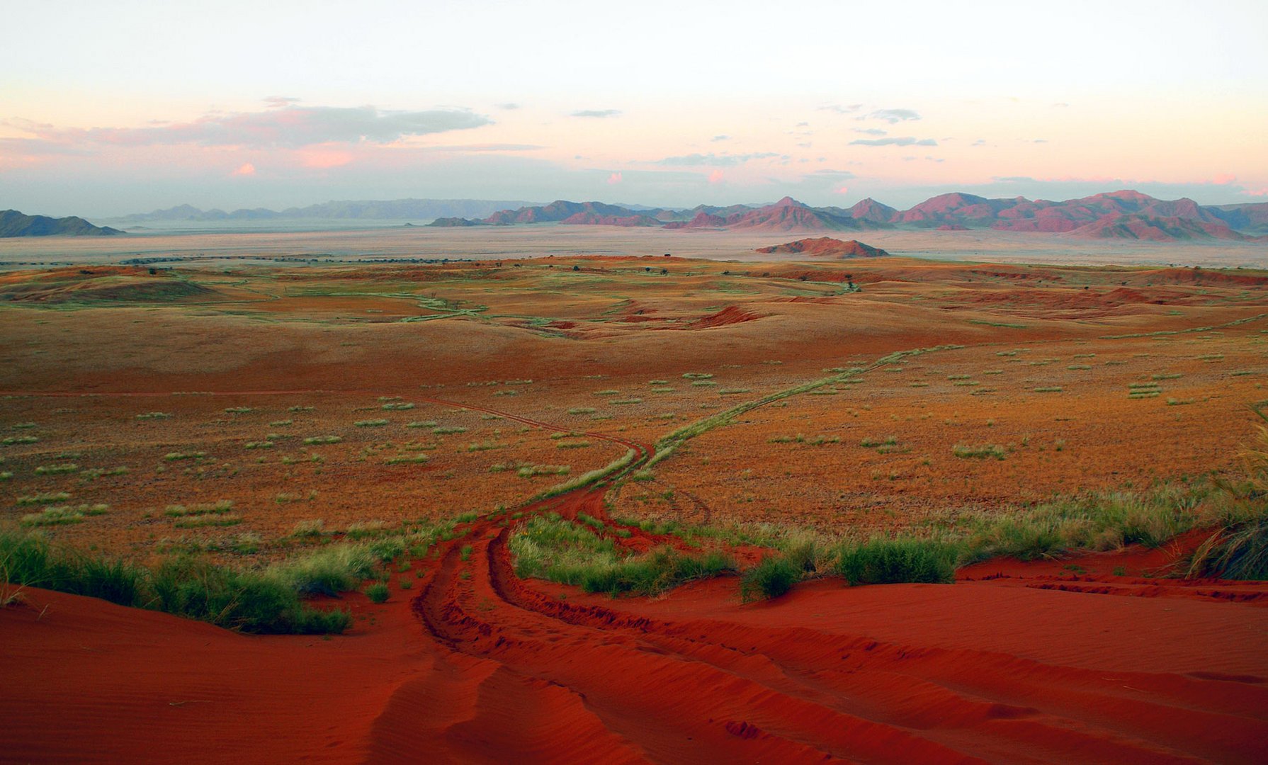 in der Kalahari