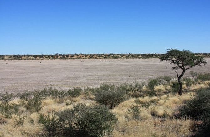 In der Kalahari