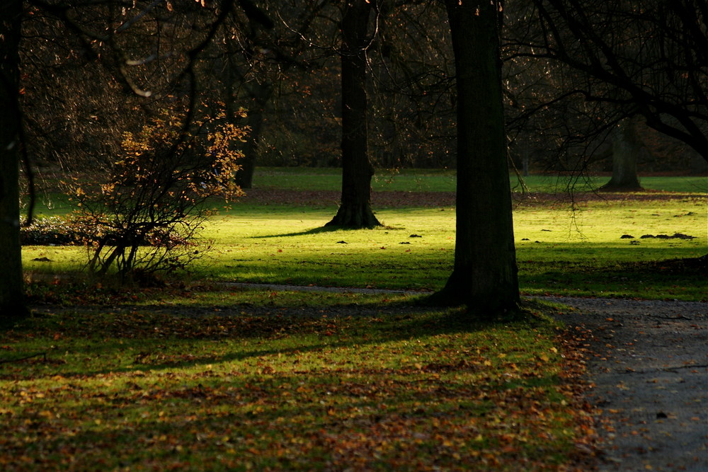 In der Karlsaue 2