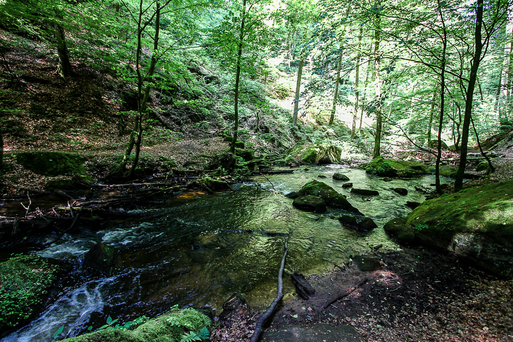 In der Karlstalschlucht