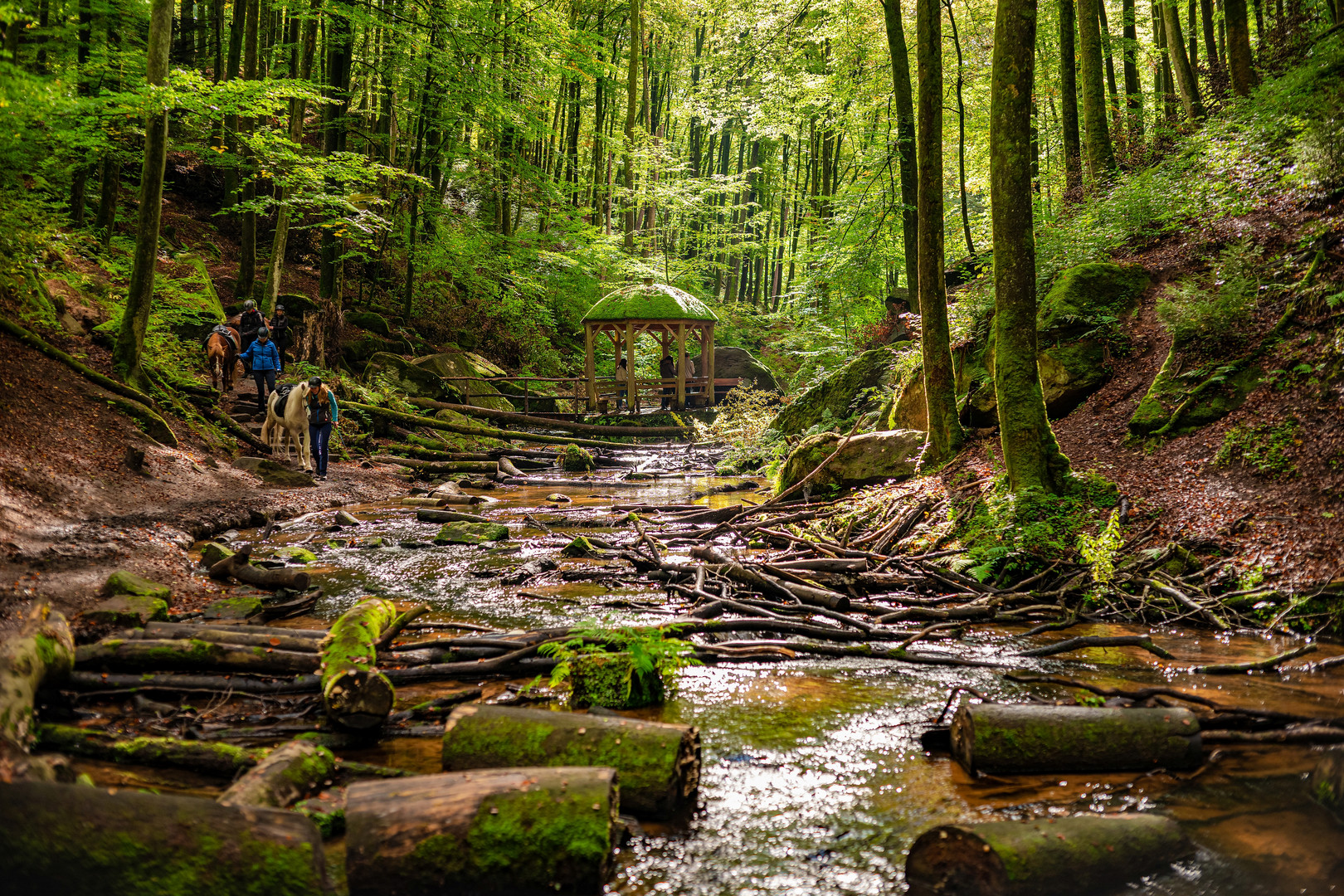 In der Karlstalschlucht ....