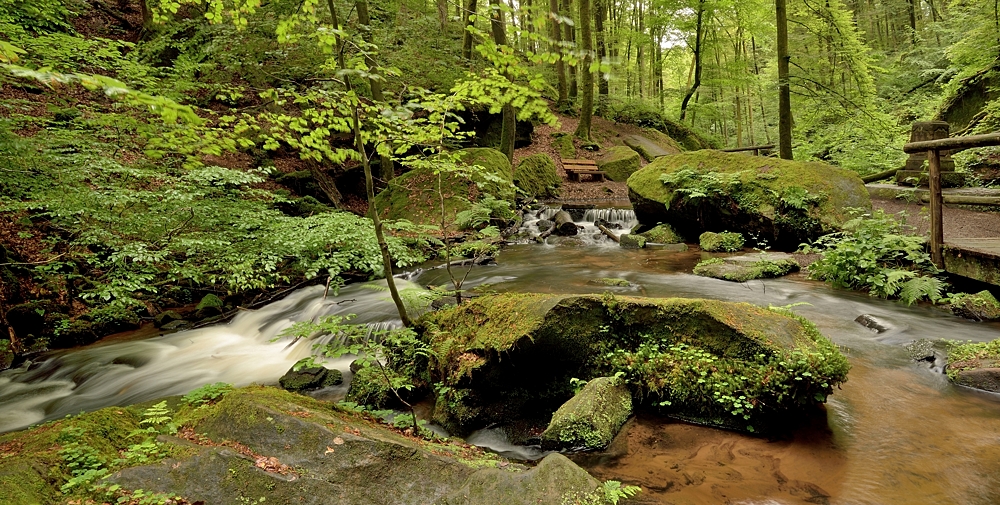 In der Karlstalschlucht plätschert das Wasser...