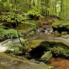 In der Karlstalschlucht plätschert das Wasser...