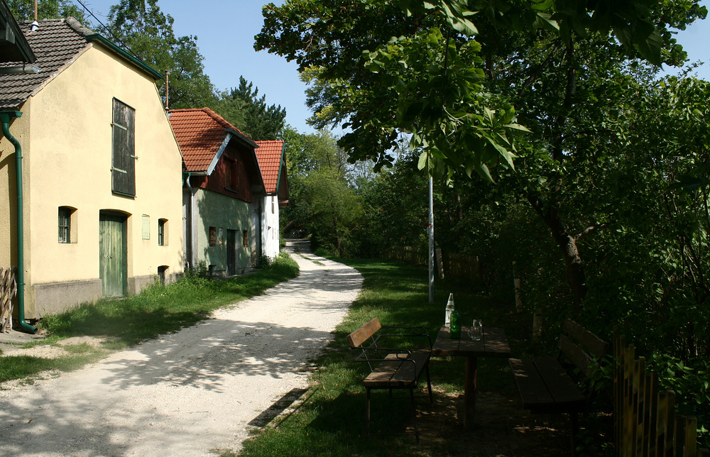 In der Kellergasse in Götzendorf im Weinviertel