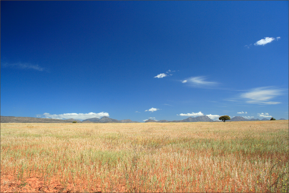 in der kleinen Karoo