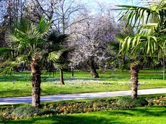 In der Kölner Flora