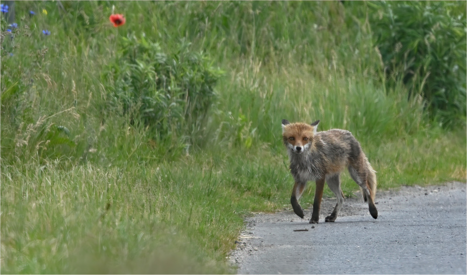 In der Kurve Foto & Bild nature, natur, tiere Bilder auf