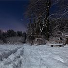 In der längsten Nacht des Jahres bei Vollmond...(3)