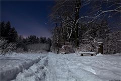 In der längsten Nacht des Jahres bei Vollmond...(3)