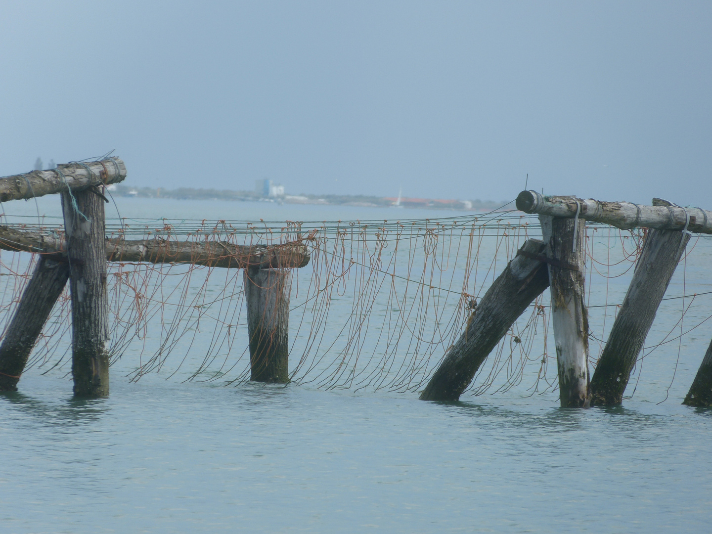 In der Lagune - Fischernetze