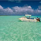 "In der Lagune von Aitutaki" - Cook Islands