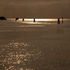 In der Lagune von Venedig bei Pellestrina