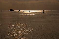 In der Lagune von Venedig bei Pellestrina