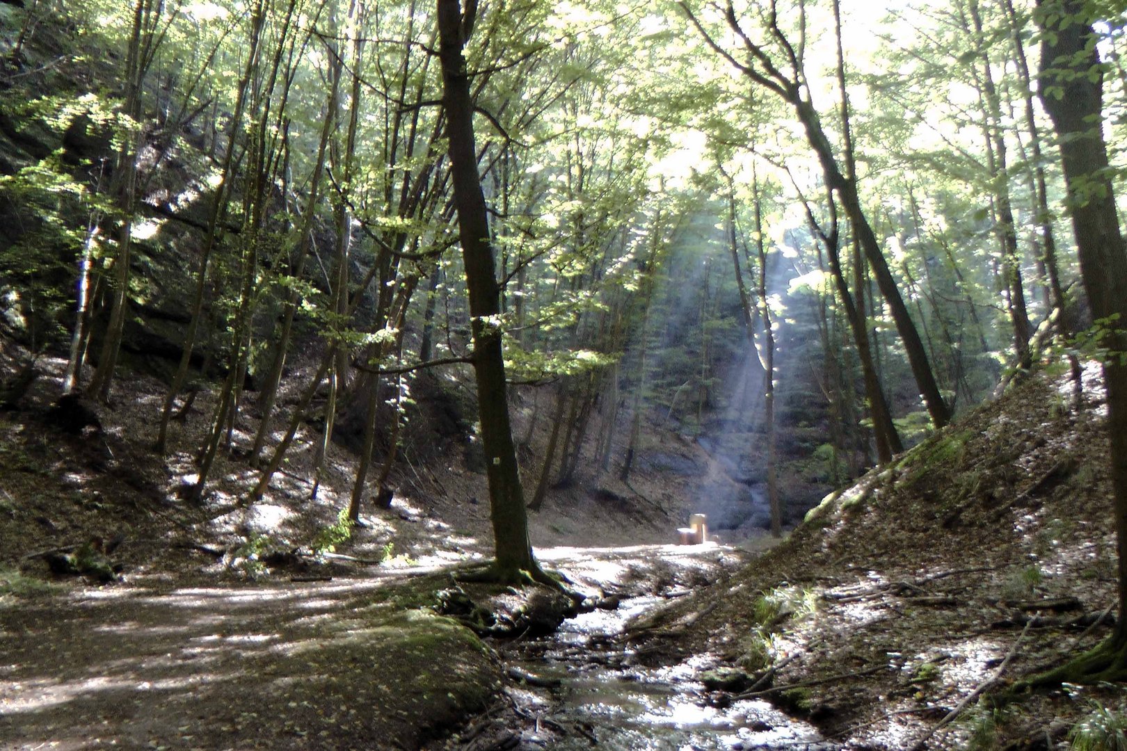 In der Landgrafenschlucht 1