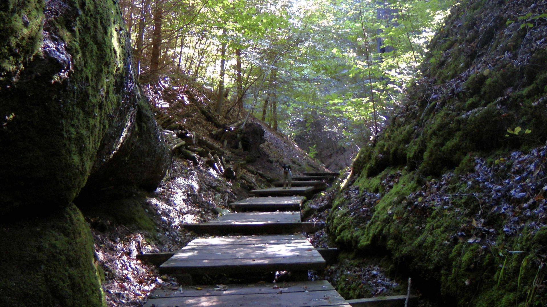 In der Landgrafenschlucht 3