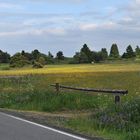 In der Langen Rhön: Hier kein Wanderweg