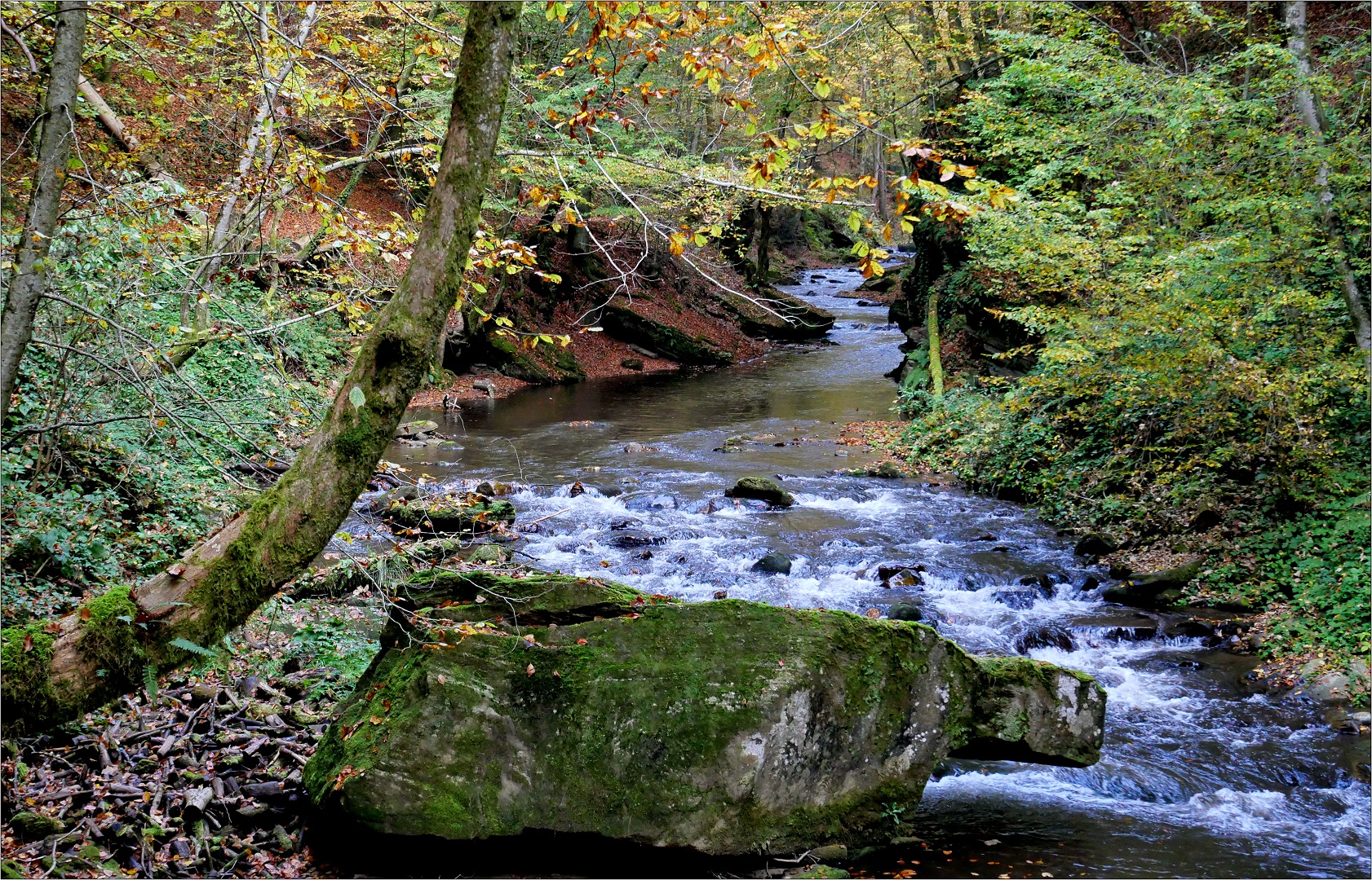  In der Laßnitzklamm