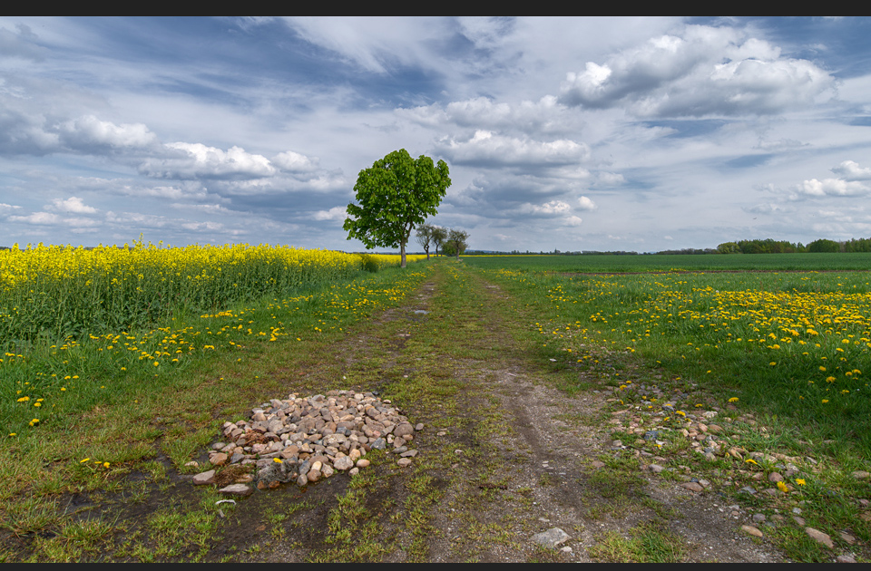 In der Lausitz